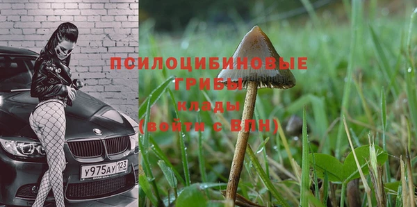а пвп мука Арсеньев